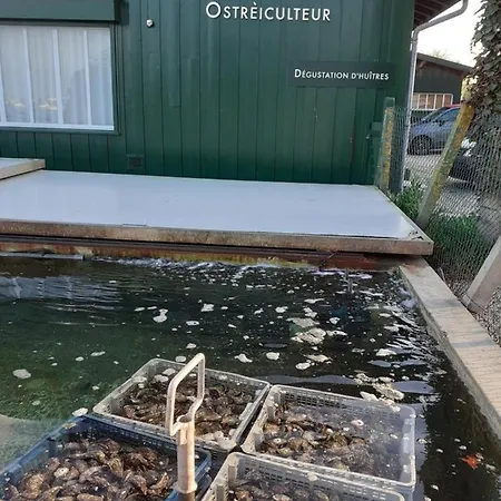 לינה וארוחת בוקר D'hote Chez Titi אודנאז'